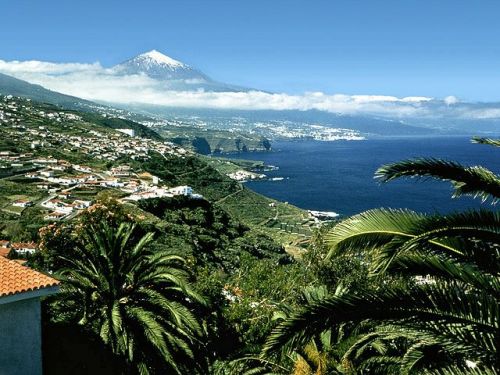 http://zazz.info/images/gallery/2012_5/497_attach_3848_normal.jpg